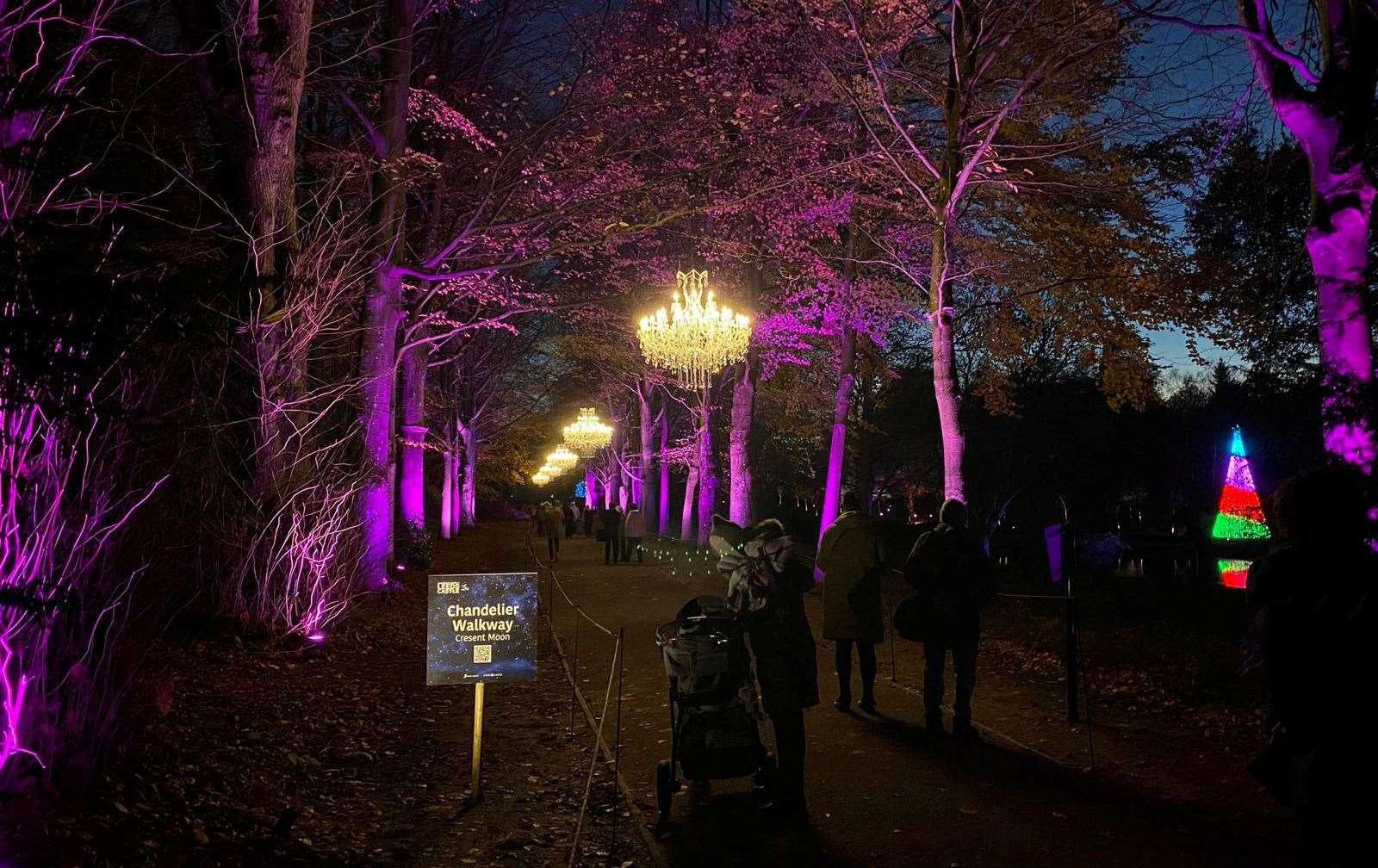 The trail began with the new Chandelier Walk with light fixtures hanging from the trees