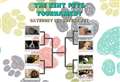 Vote in the first Kent Pets Tournament