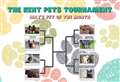 Who will you choose in the first round of the Kent Pets Tournament?