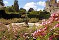Sweet smelling roses take over castle grounds 