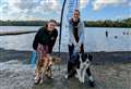 Pooches take the plunge in first doggy-swim event