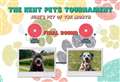 Vote for June's Kent Pets Tournament top dog