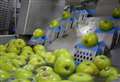 Major fruit producer sold to multinational