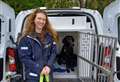 ‘It’s a tough job - they don’t all make it’: A day in the life of a guide dog trainer