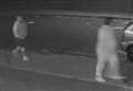 CCTV appeal after thieves steal 'unique' car part