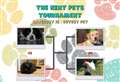 Vote in the 2nd round of the Kent Pets Tournament