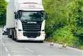 Adorable moment lorry holds up traffic for geese