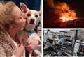 ‘I lost everything in fire but Dobby my rescue dog saved me’