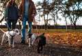 Dog-walking field approved five years after opening