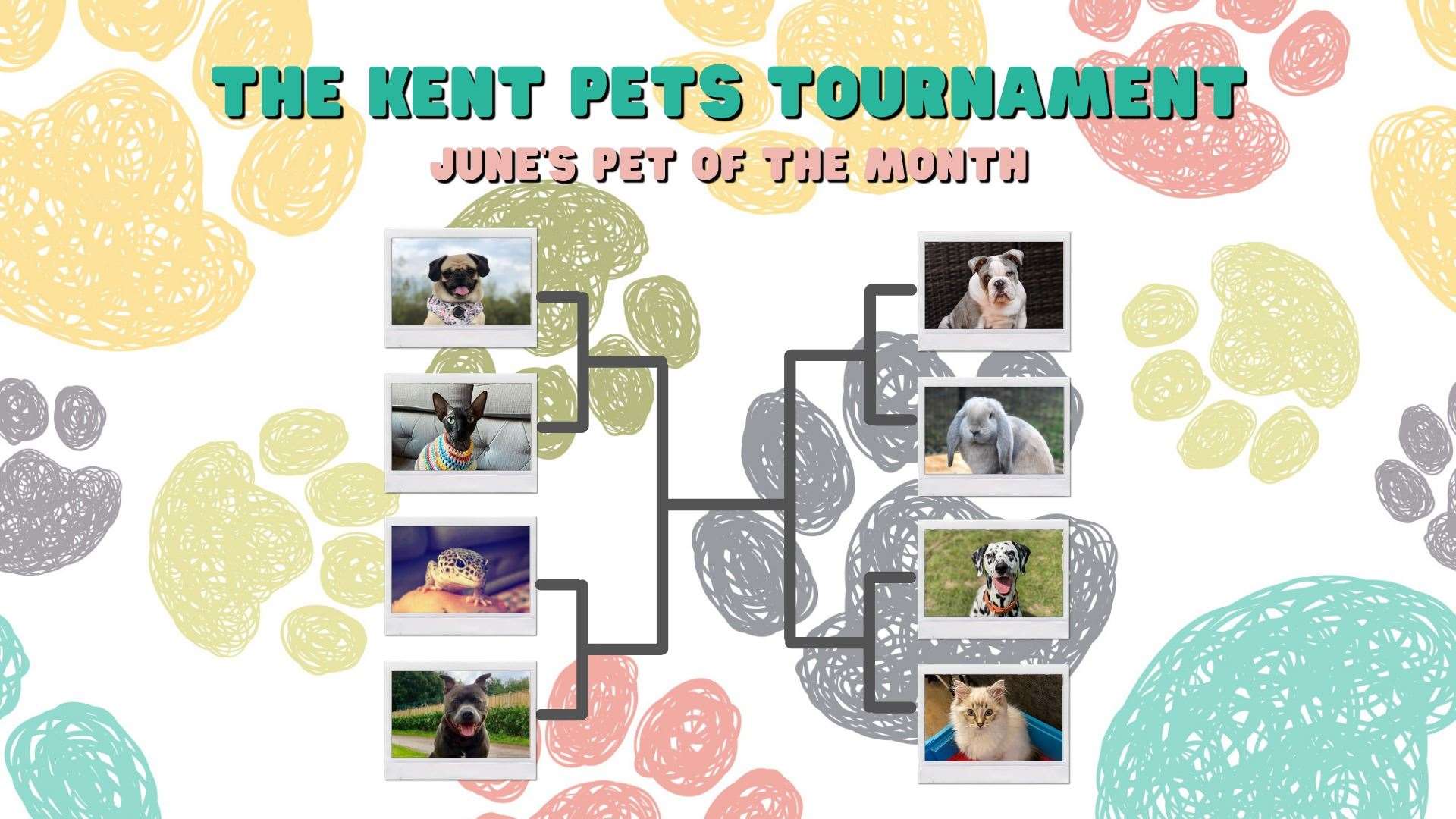 Kent Pets Tournament 3.1 (47854319)