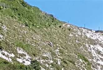 Helicopter scrambled to rescue teen from cliff ledge