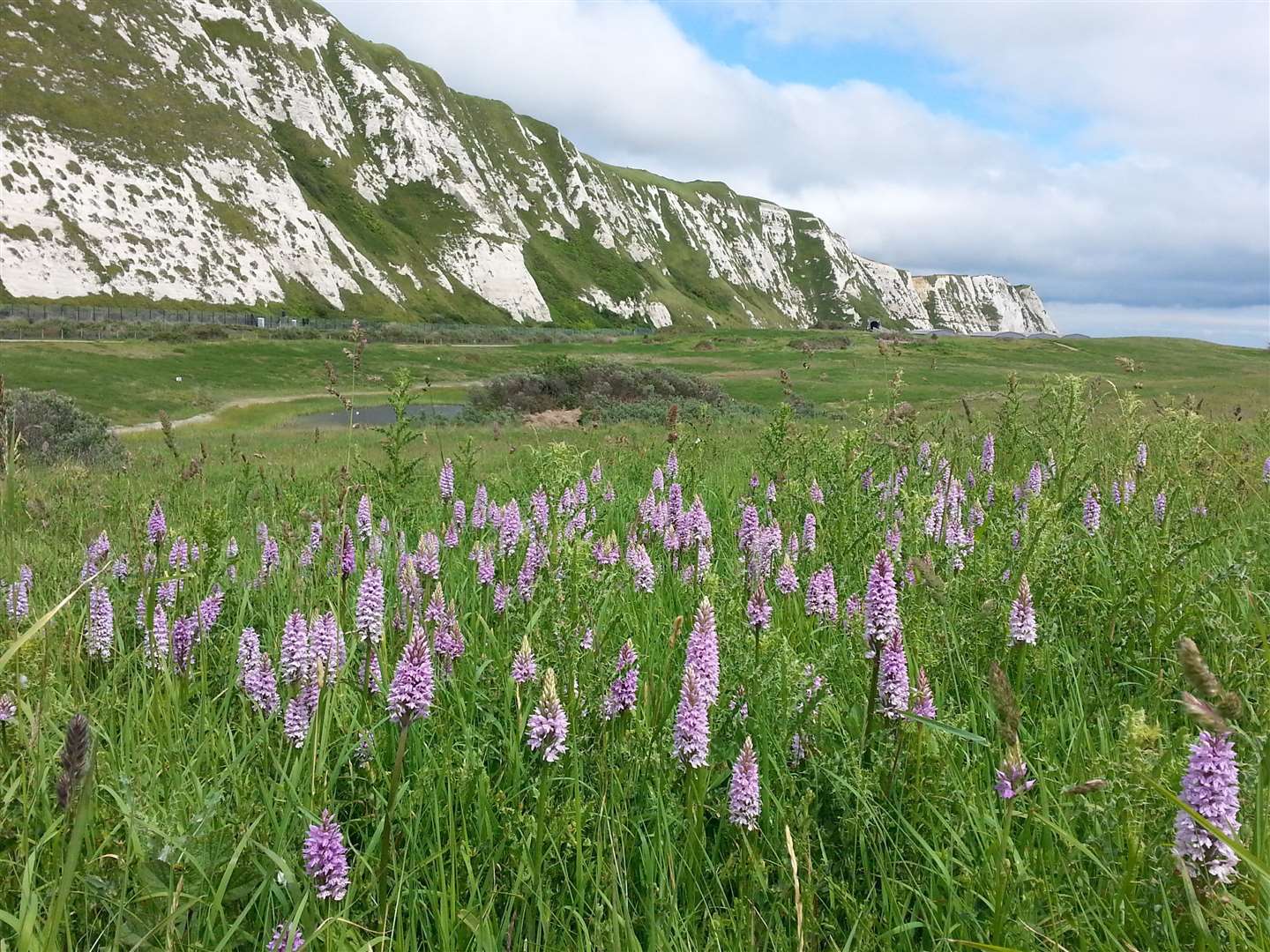 Picturesque Samphire Hoe as it is today