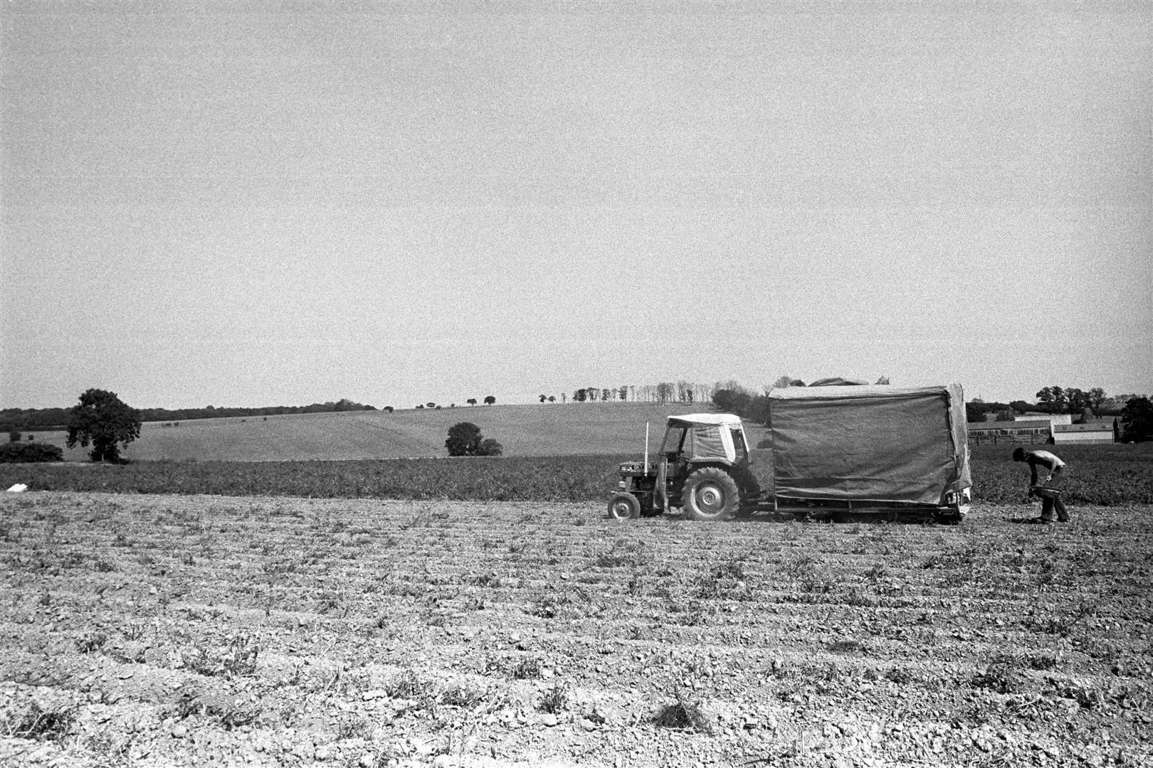 A farmer tends to his drought-hit farmland at Broad Oak in Kent. Picture: PA/PA Archive