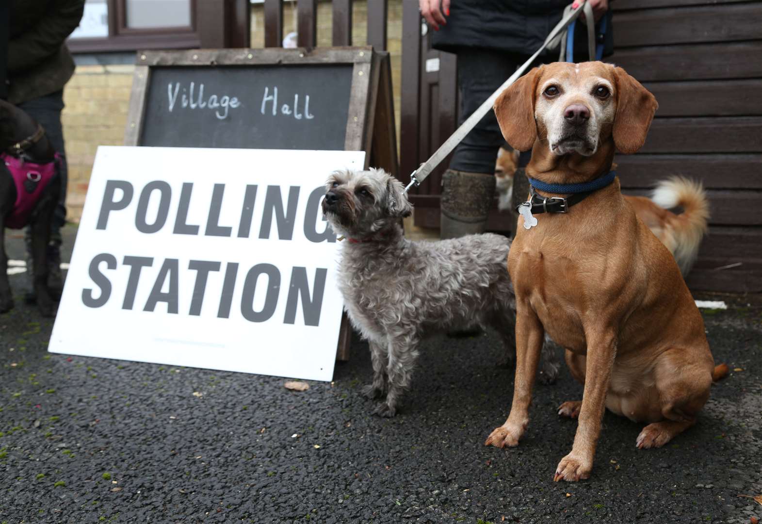 Kent Local Elections Results From Borough And County Elections