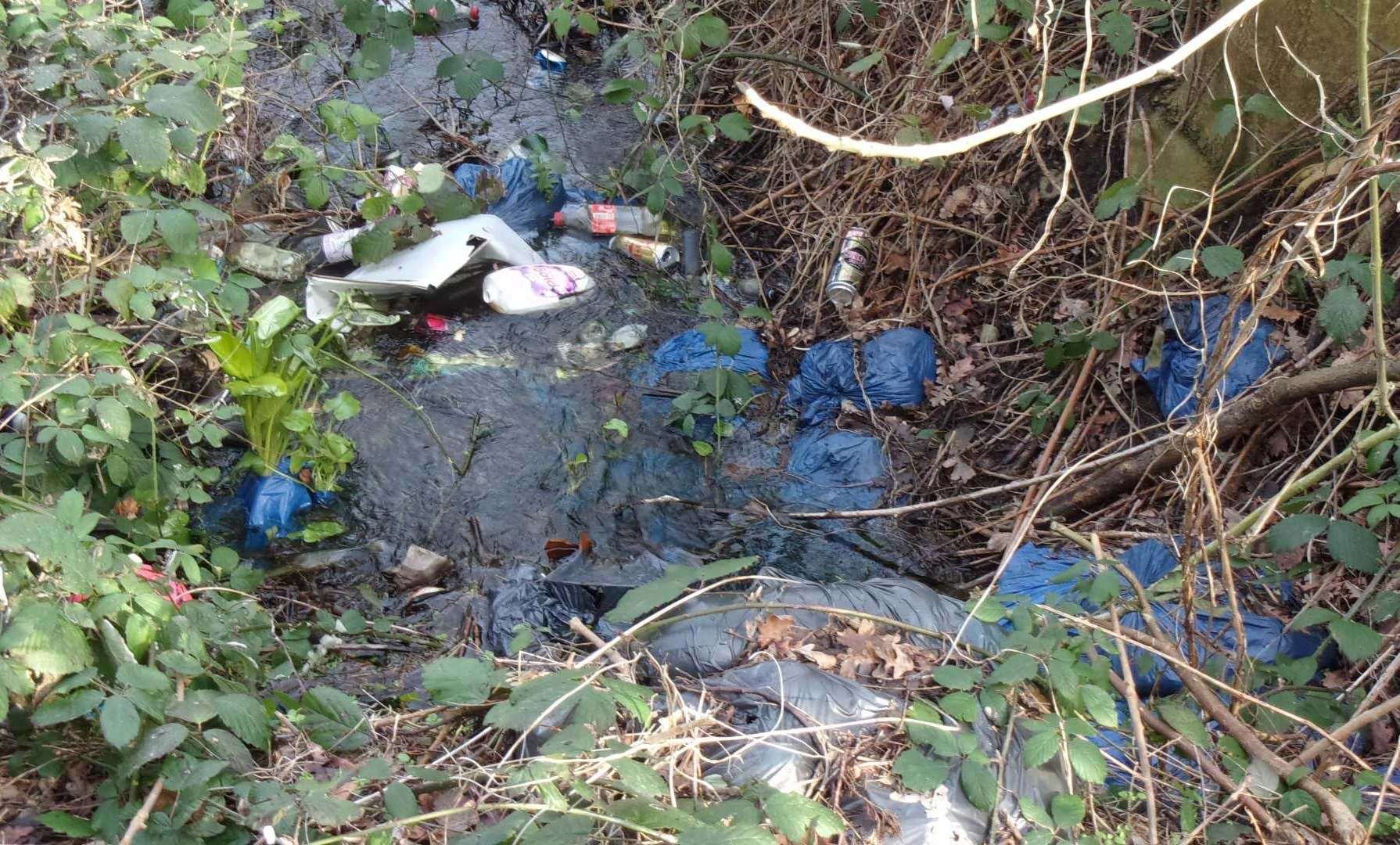 The Cooksditch Stream in Faversham was filled with 17 tonnes of rubbish