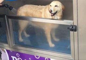 Mucky pups can now shower at the new facility. Picture: Polygon Pets Limited