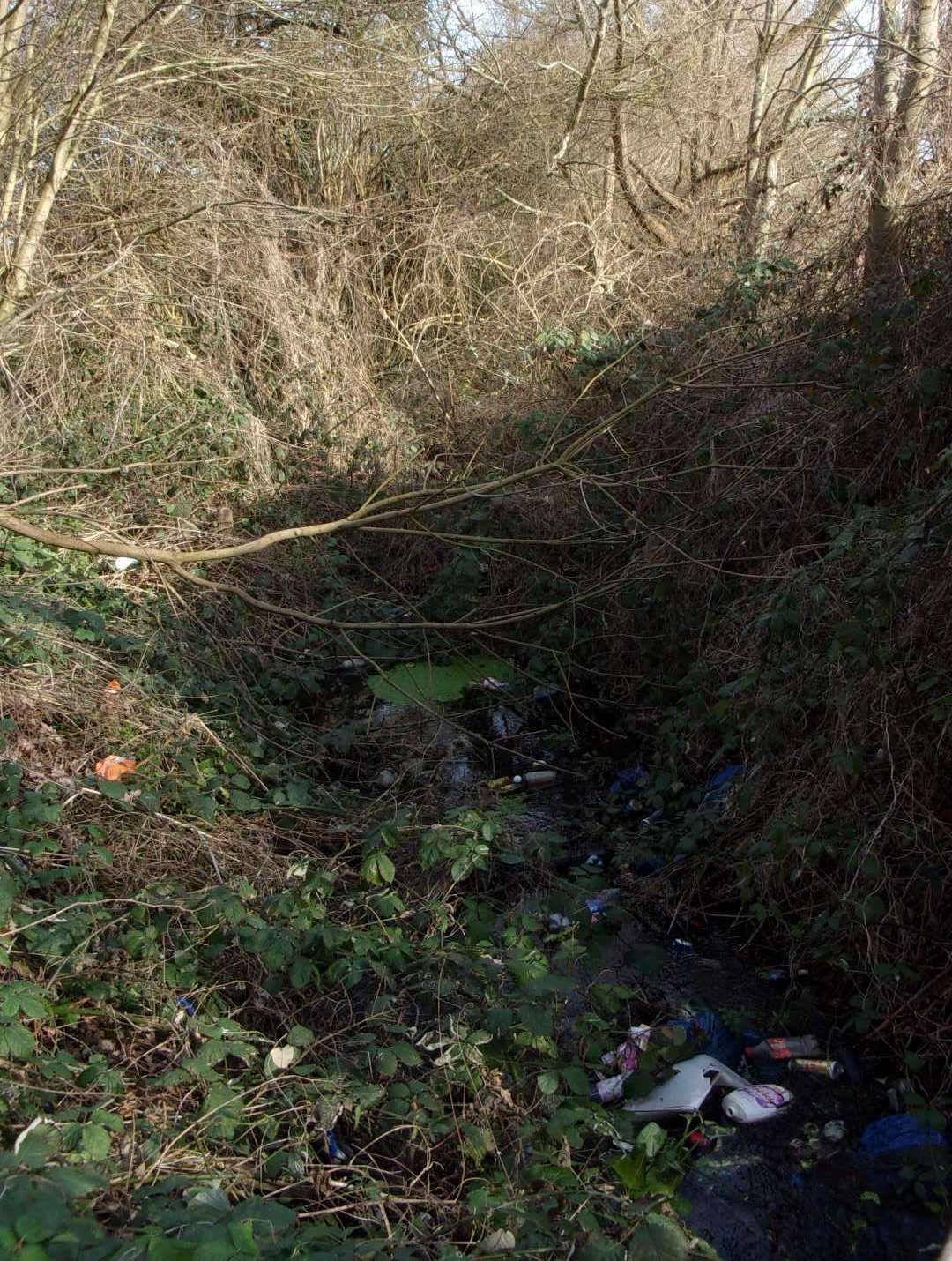 The once litter-strewn Cooksditch Stream in Faversham