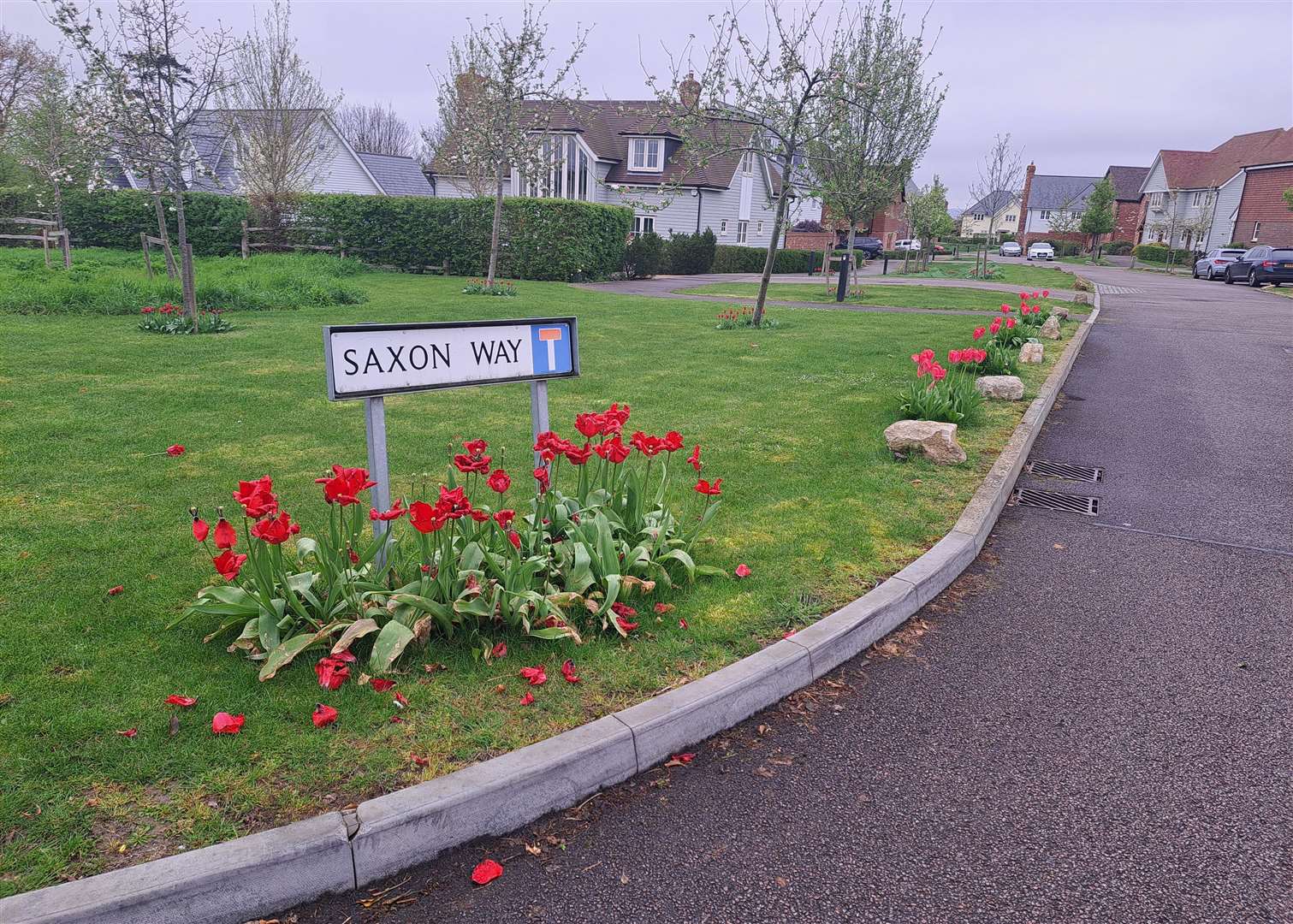 Saxon Way - Tovil or Loose?