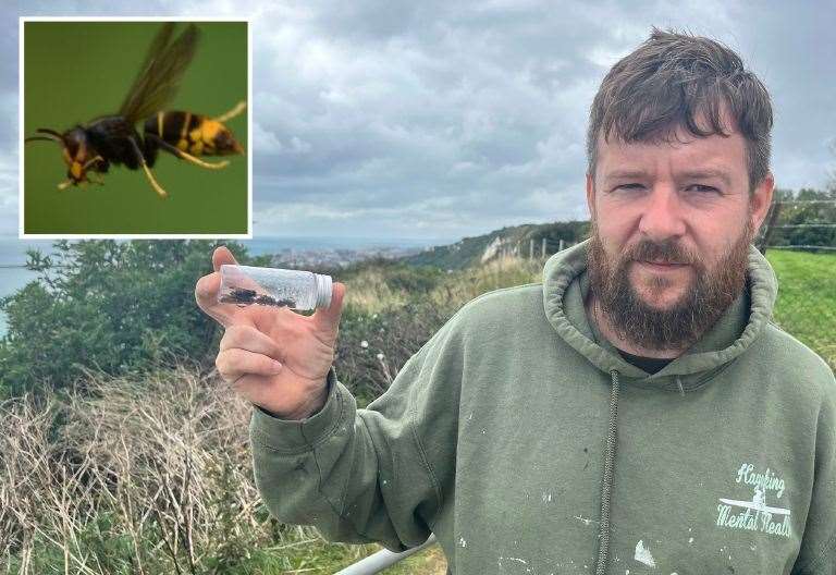 Killer Asian Hornets Almost Wipe Out Business In Capel Le Ferne