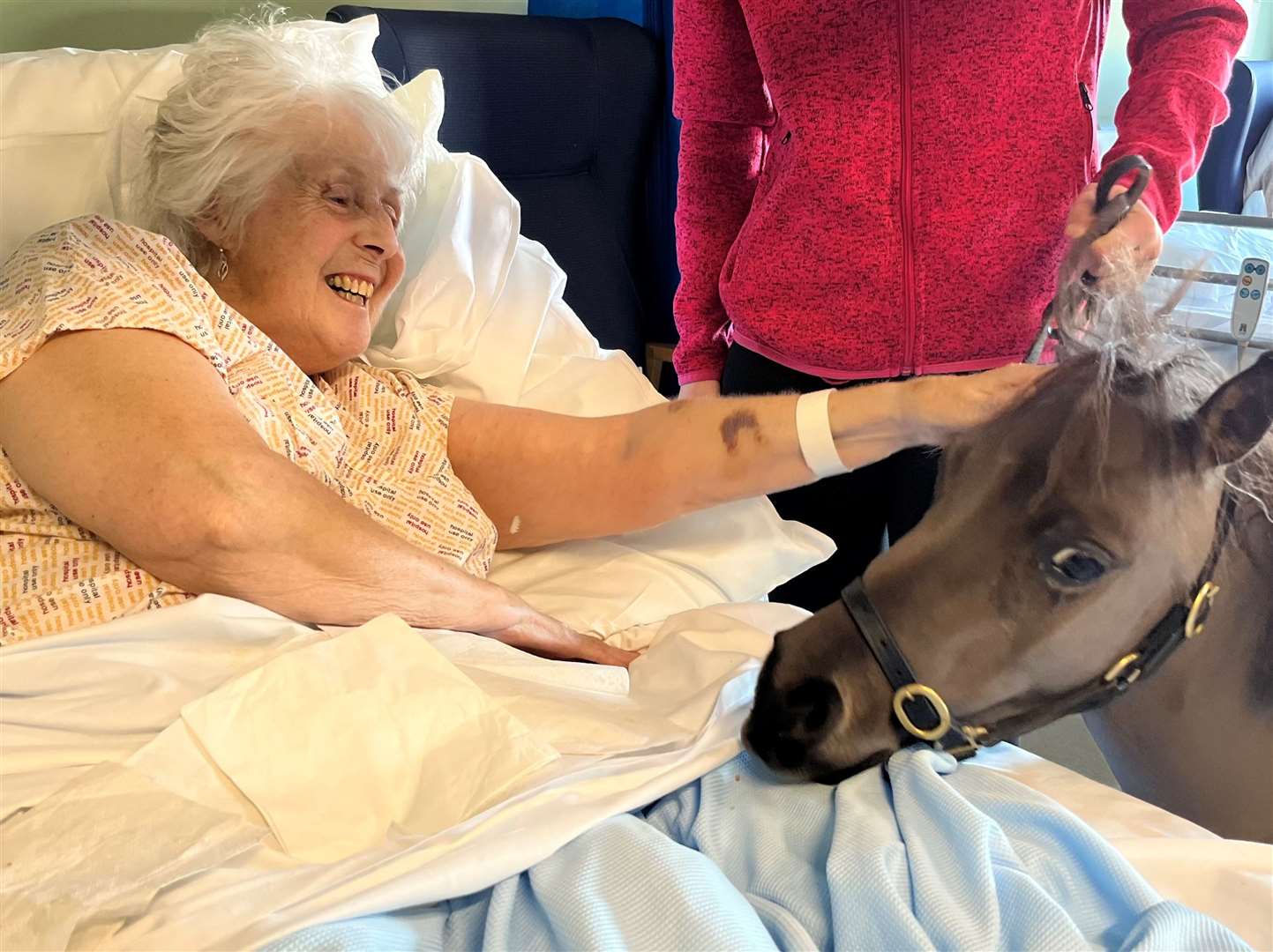 Therapy pony George with patient Linda