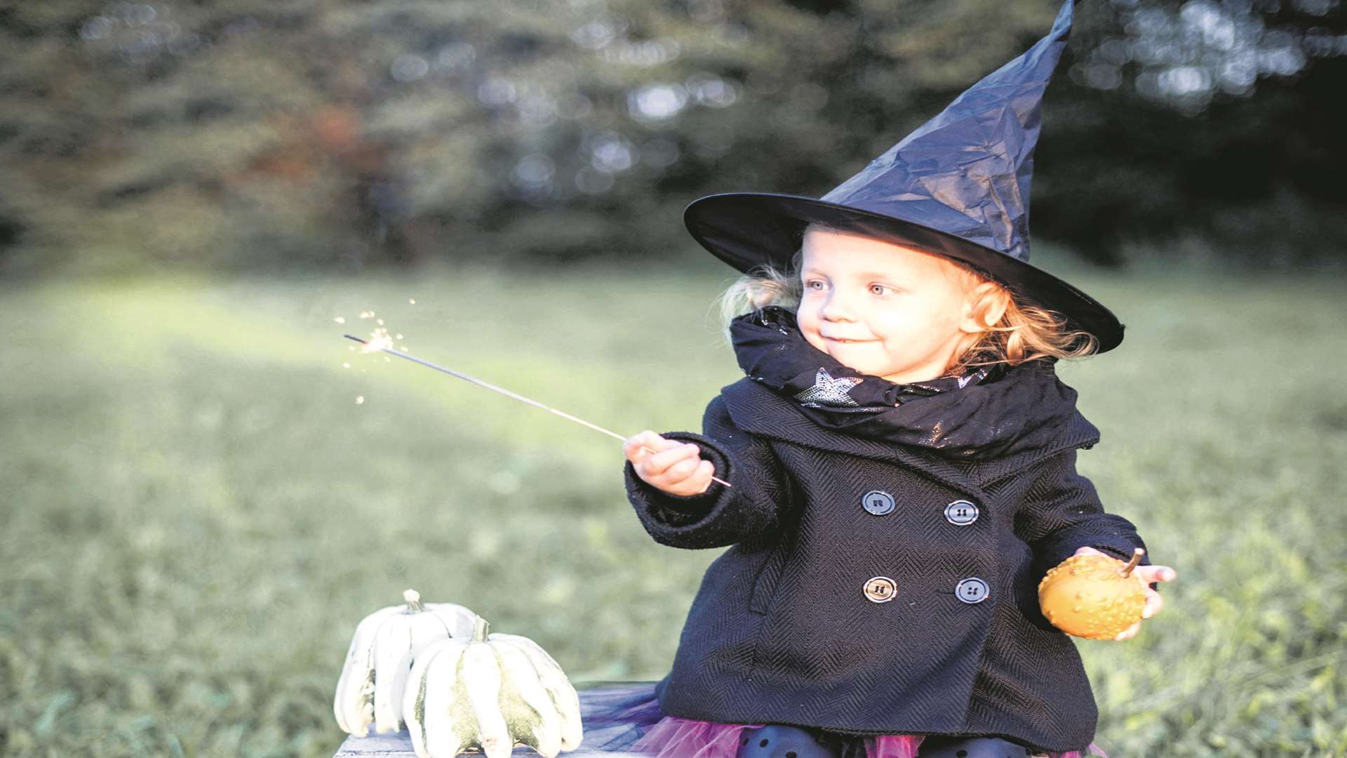 There's so much happening at October half term across Kent