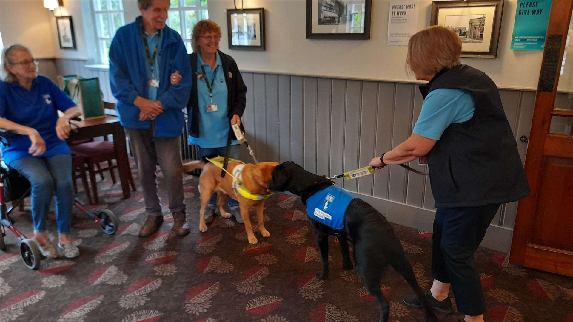 Max is introduced to Rosie, Pat Marshall's fully trained guide dog