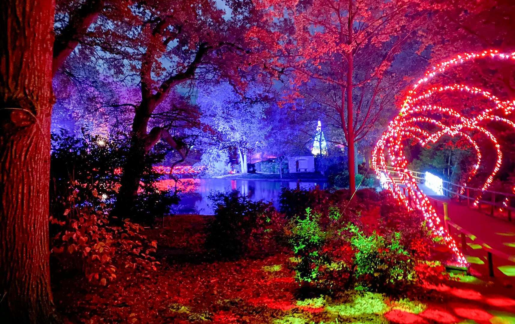 The attraction is similar to the Christmas at Bedgebury light trail, organised by the same team