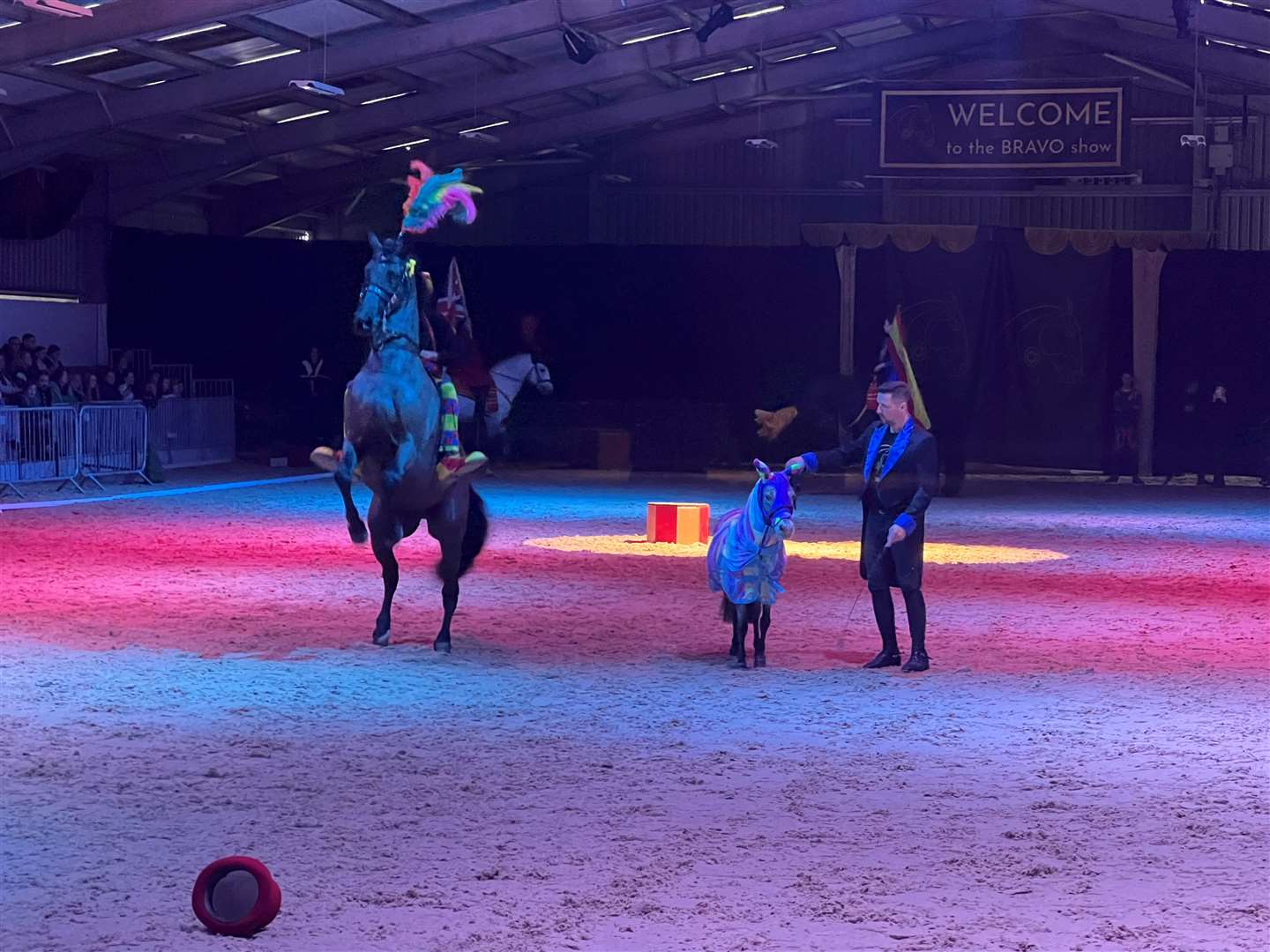 The equine performance, Bravo, at White Horse Farm in Harvel. Picture: Megan Carr