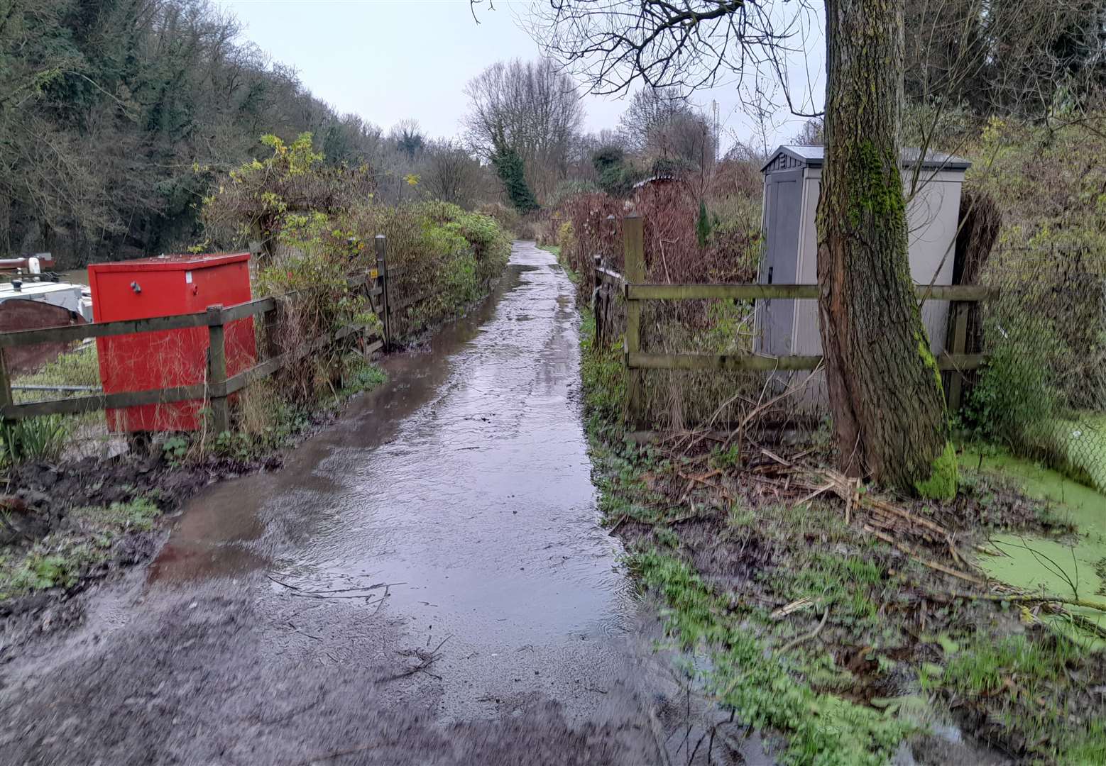 Could the towpath by the River Medway provide an opportunity for nature enhancement?
