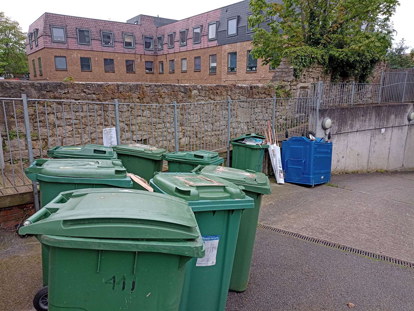 One green bin was left unemptied