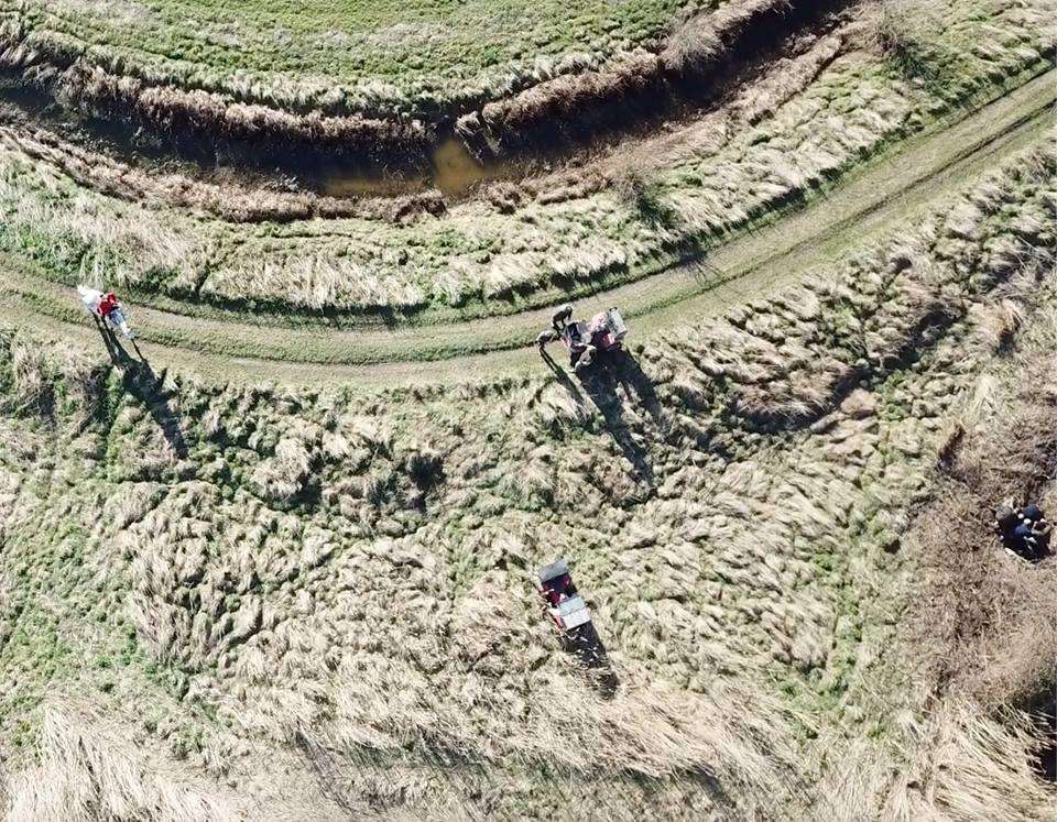 Drone footage showing huntsman on horseback on the left and what is claimed to be terrier-men digging out a fox hole on the right