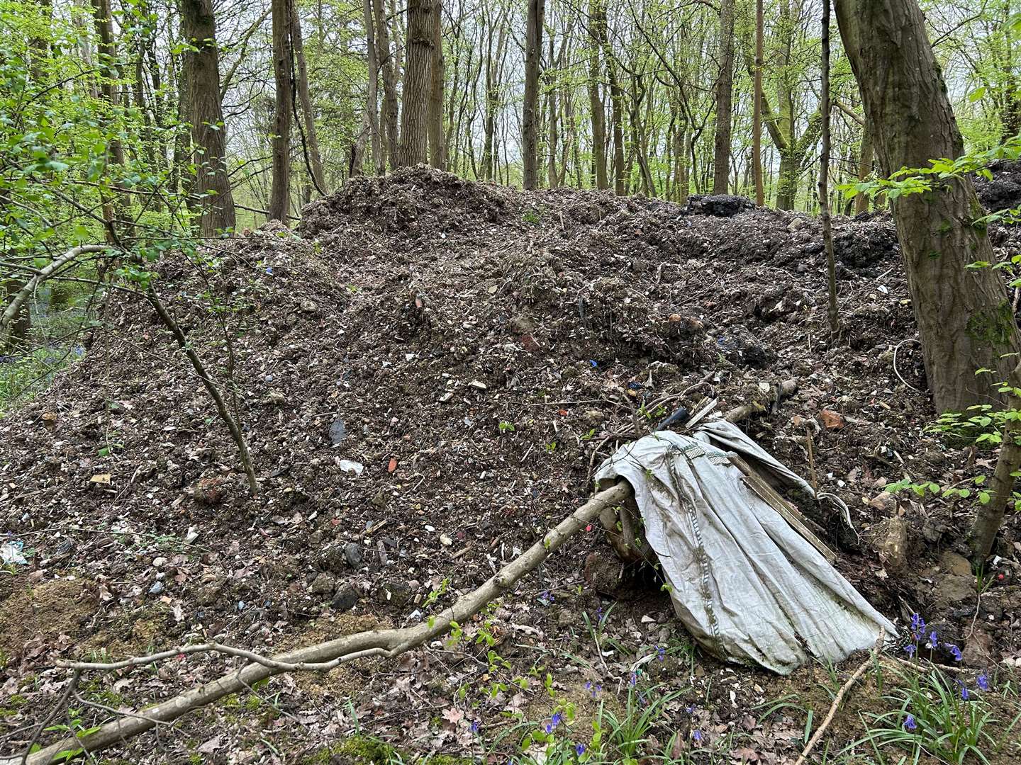 Plot owners in the woods say they are ‘disgusted’ with the response from the authorities