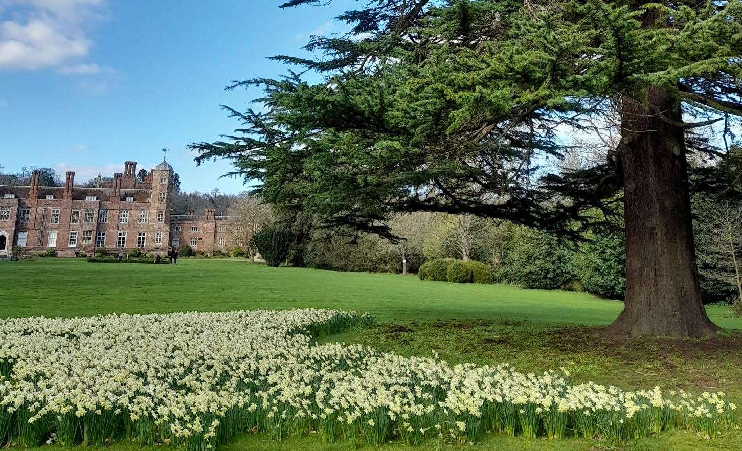 Explore these NGS gardens with free entry for kids over Easter – including Gravesend’s Cobham Hall. Picture: NGS
