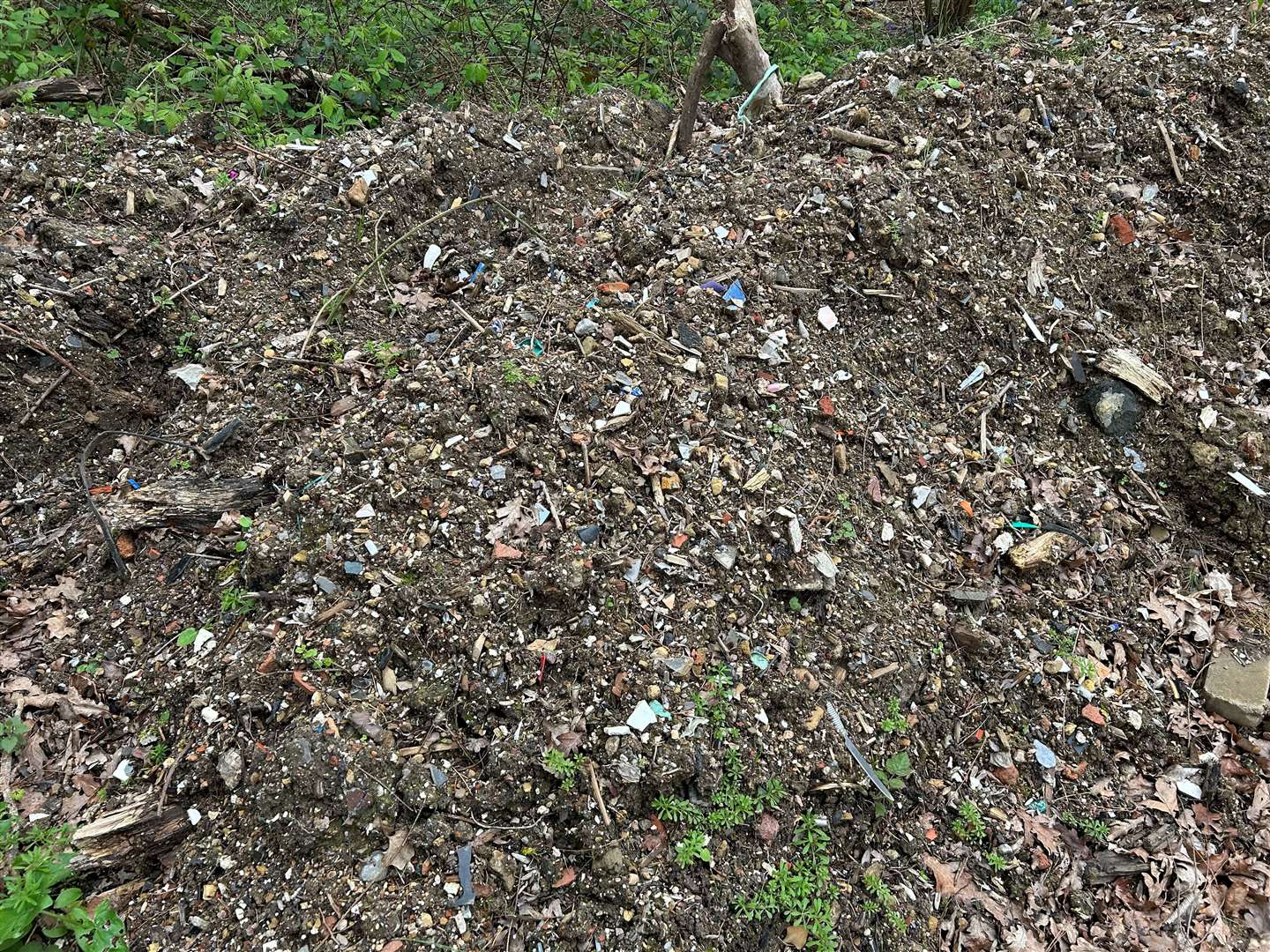 The illegal dumping in Hoad's Wood, Ashford, has caused the site to smell like rotting eggs