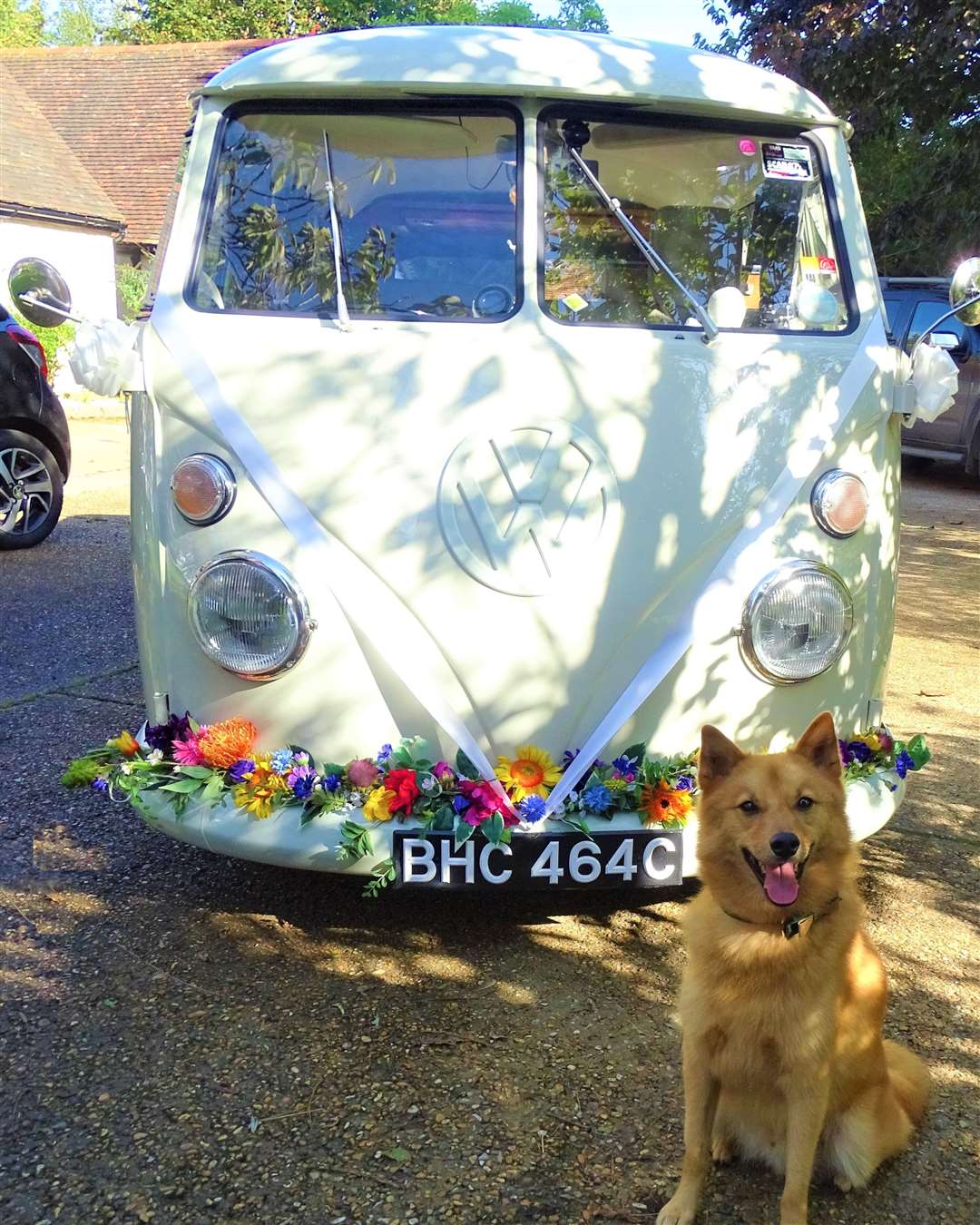 A wedding camper van and a dog! What a day Picture: Furrytail Weddings