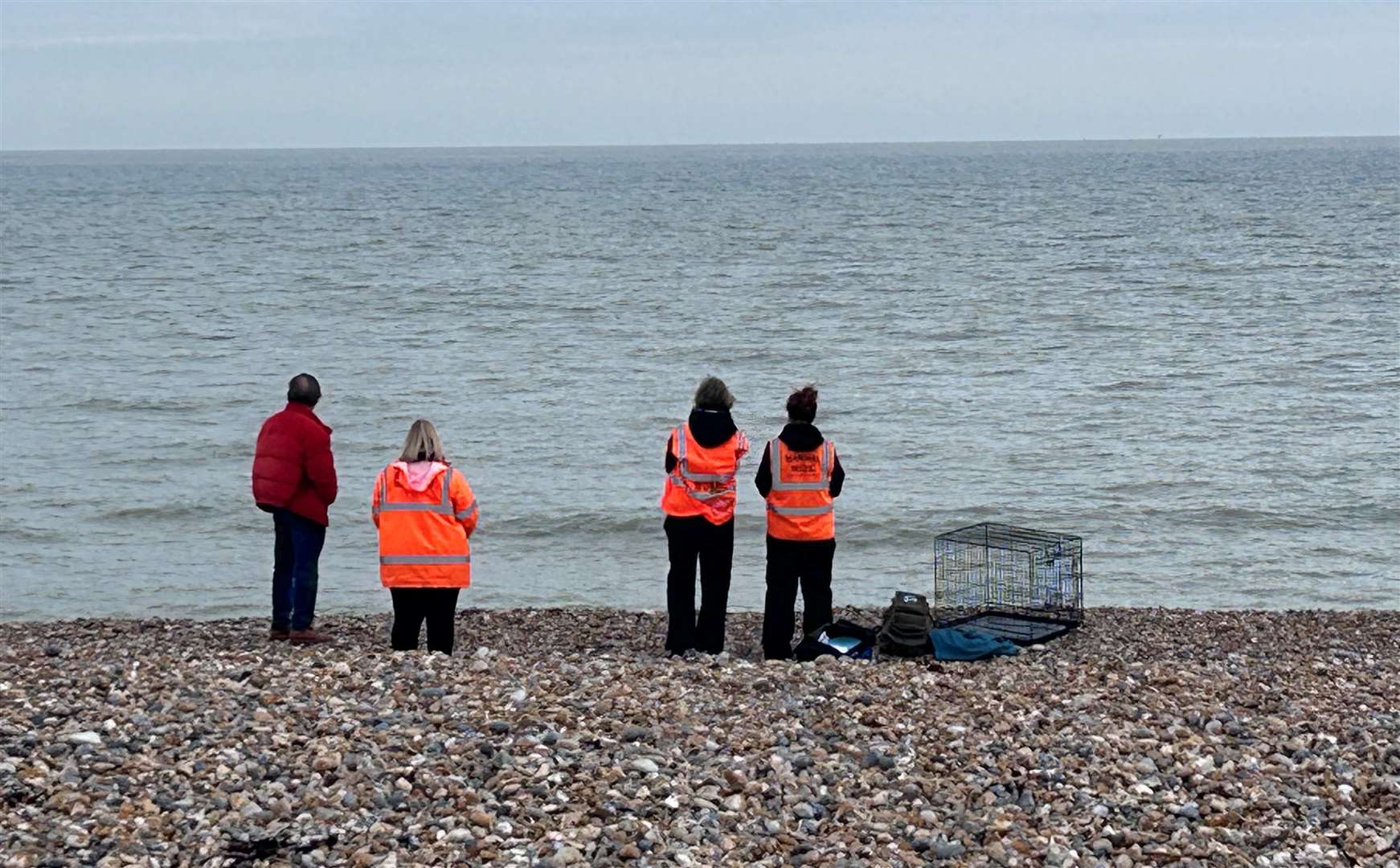 BDMLR crews trying to rescue the beaver at Sandwich Bay. Picture: Lindsey Gray