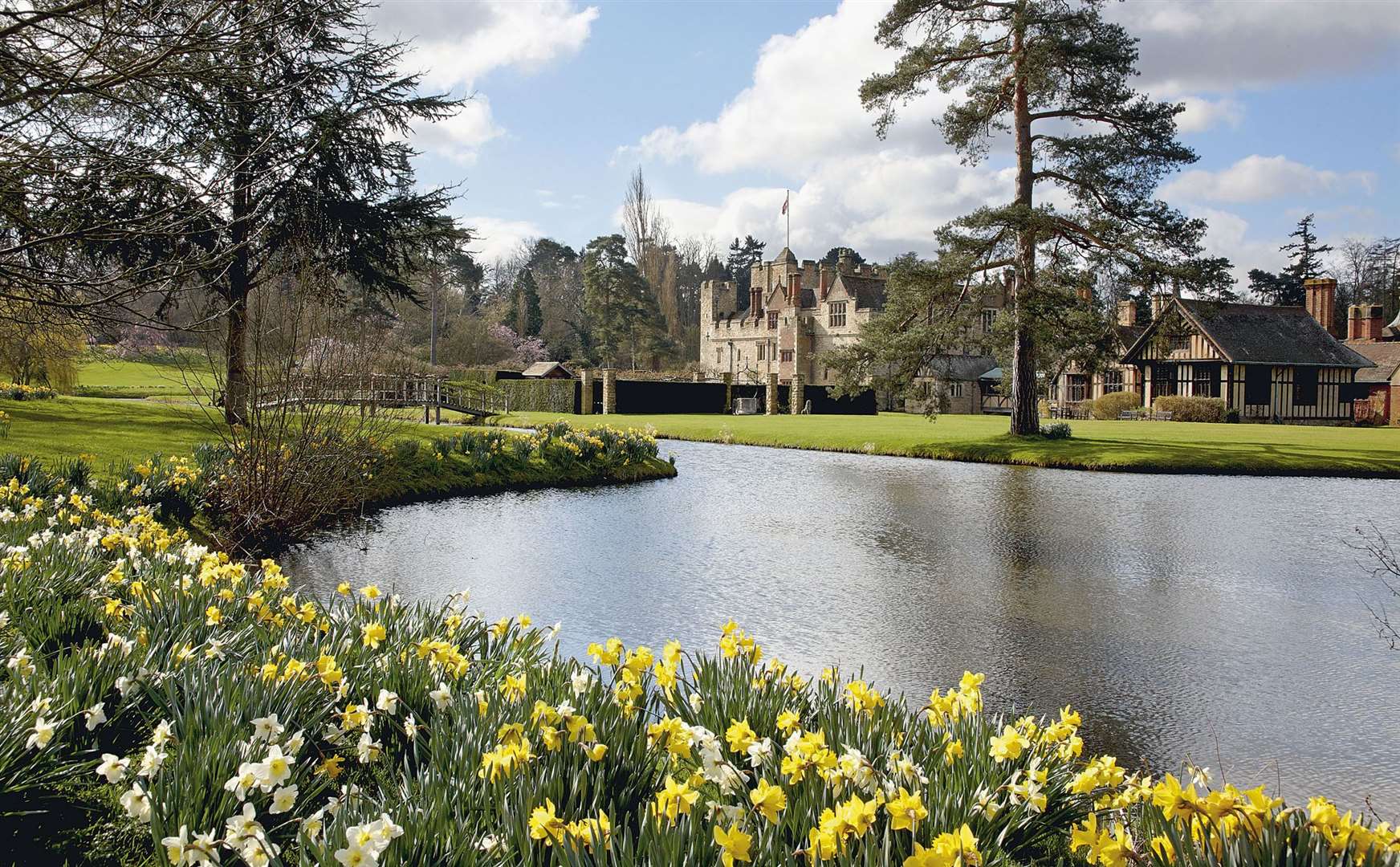 There are at least 25 different daffodil species, the most well-known of which is the Yellow Trumpet. Picture: Hever Castle and Gardens