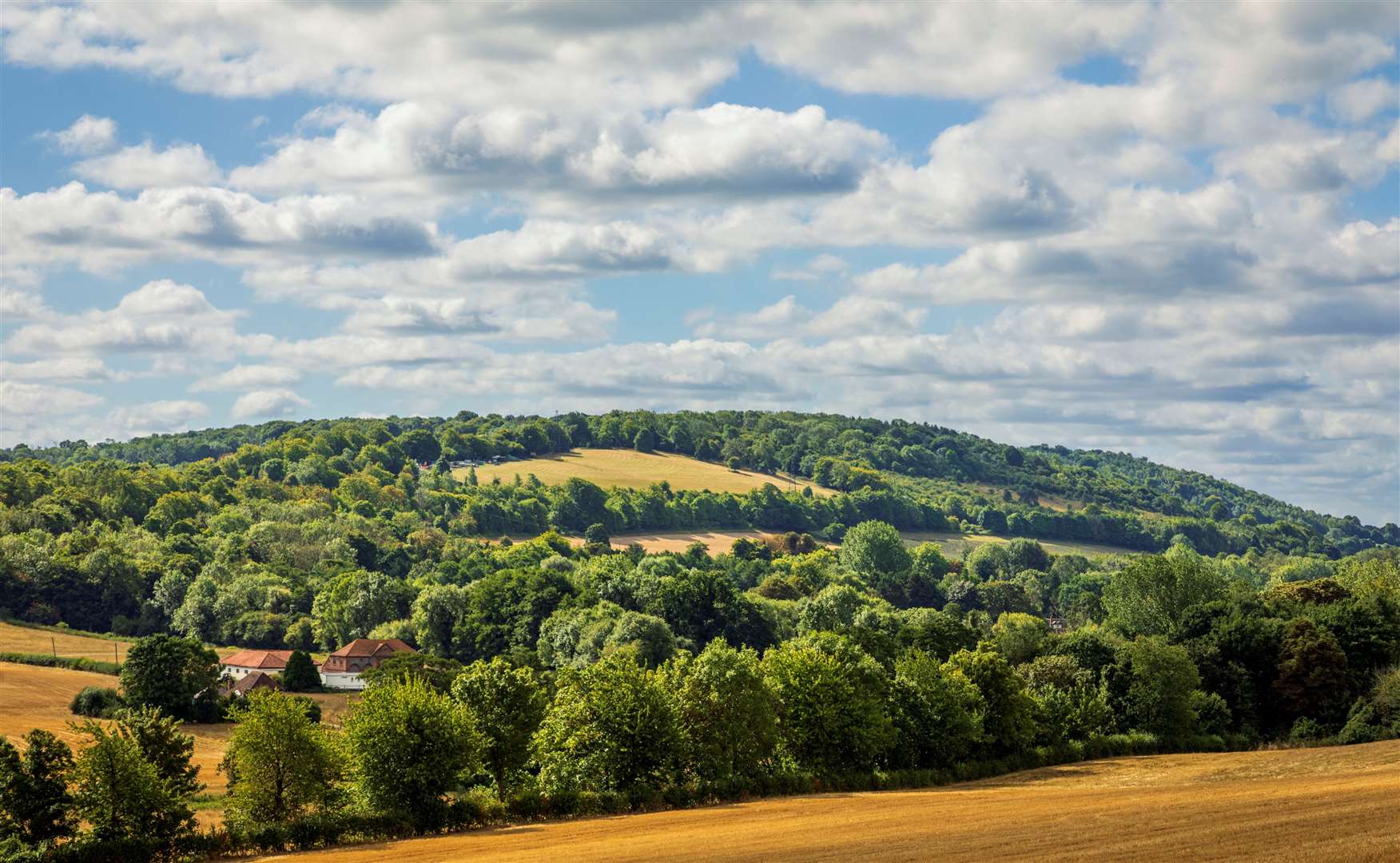 Capture views of the Kent Downs from Lullingstone Park. Picture: iStock