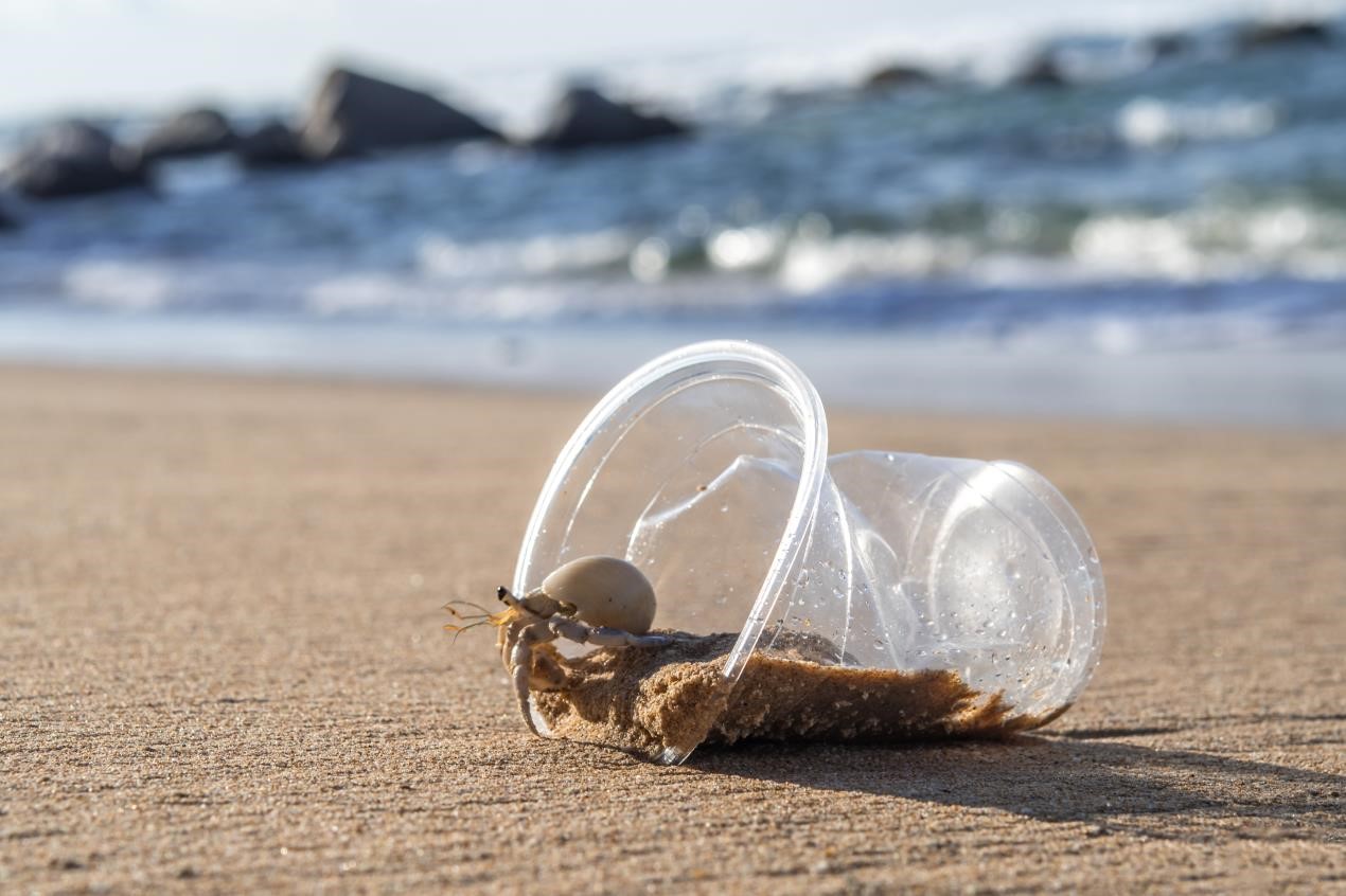 New Research Reveals How Microplastic Pollution Is Threatening Biodiversity