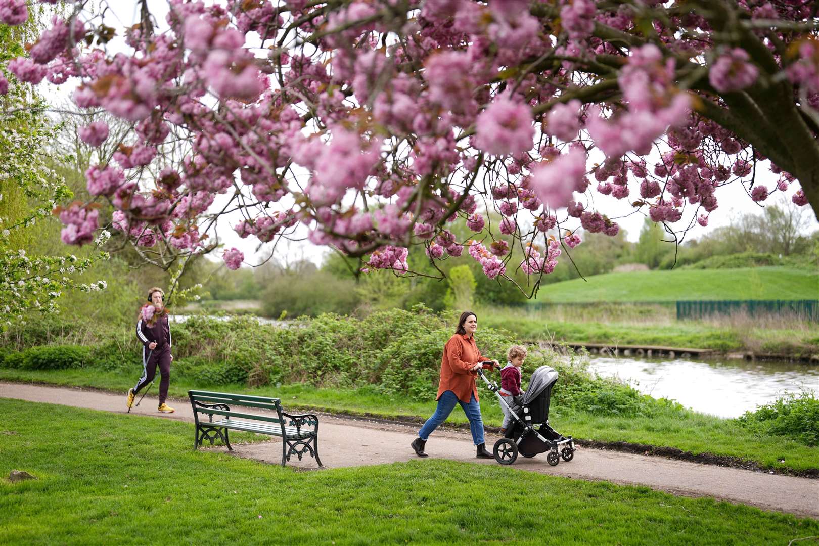 People walk by flowering cherry blossom trees in St Nicholas’ Park, Warwick, in April (Jacob King/PA)