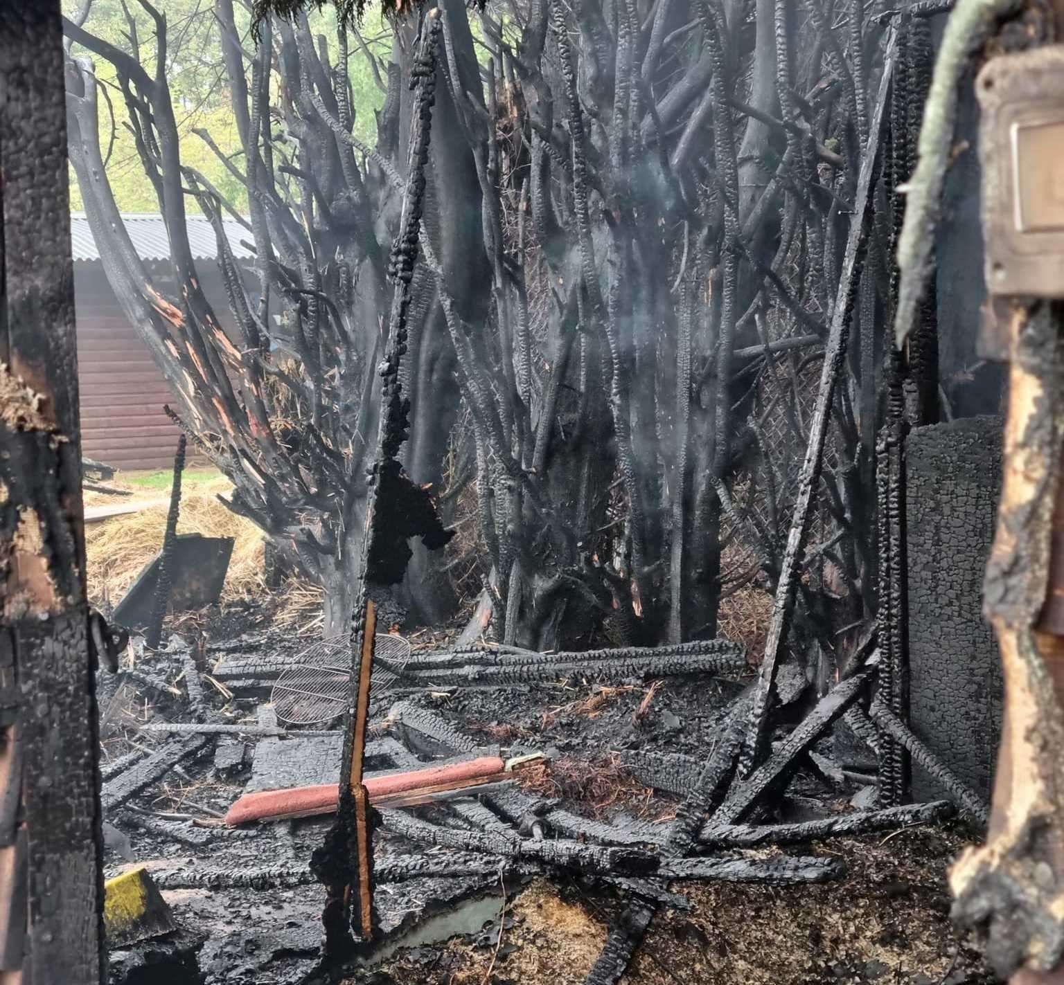 Two horses were rushed to safety after the fire in Worth near Deal. Picture: Katie Mo