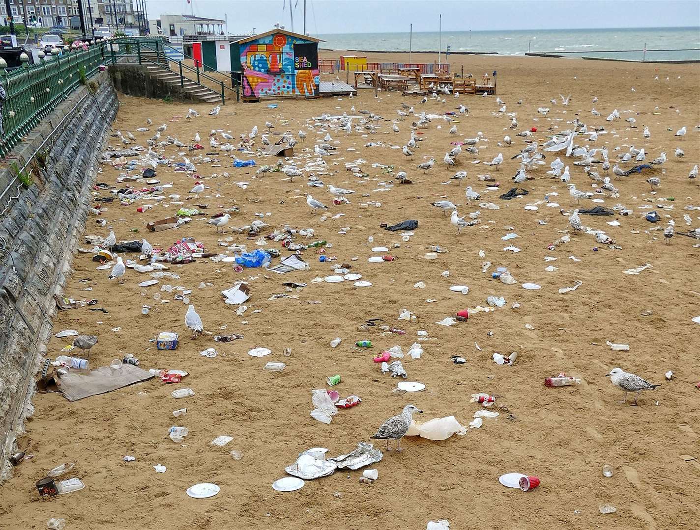 Seagulls help themselves after the waste was left behind. Picture: Frank Leppard (14463449)