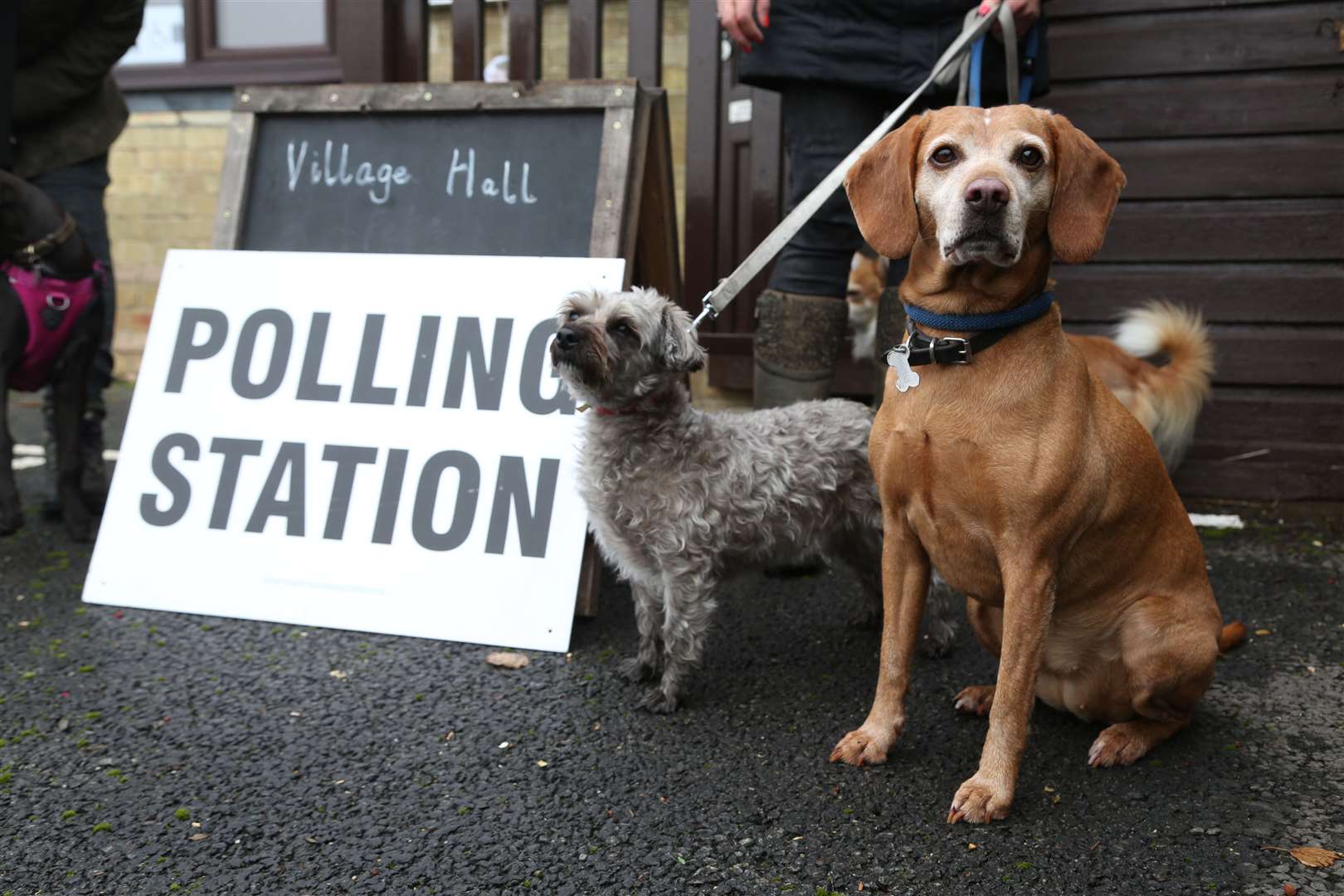 The polls closed at 10pm last night Picture: Chris Loades