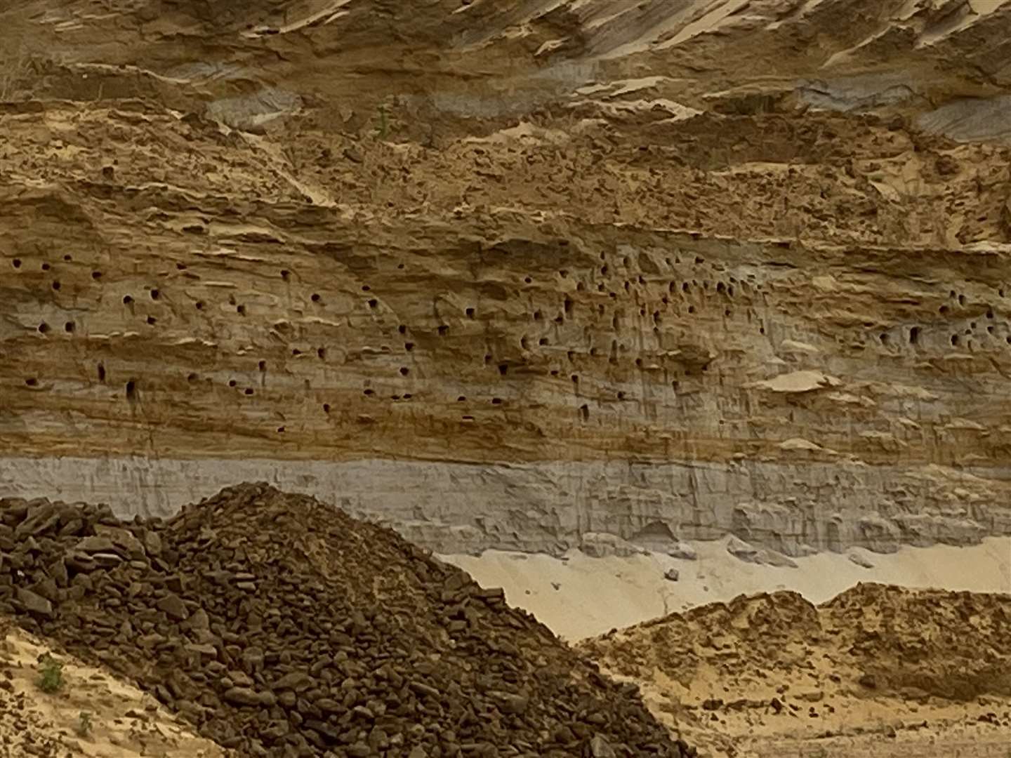 A colony of sand martins have been returning to the specially created cliff at Sandy Heath Quarry from their wintering grounds in Africa each spring (RSPB/PA)