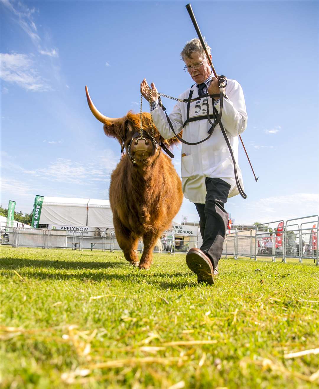 Livestock takes centre stage at the Kent County Show