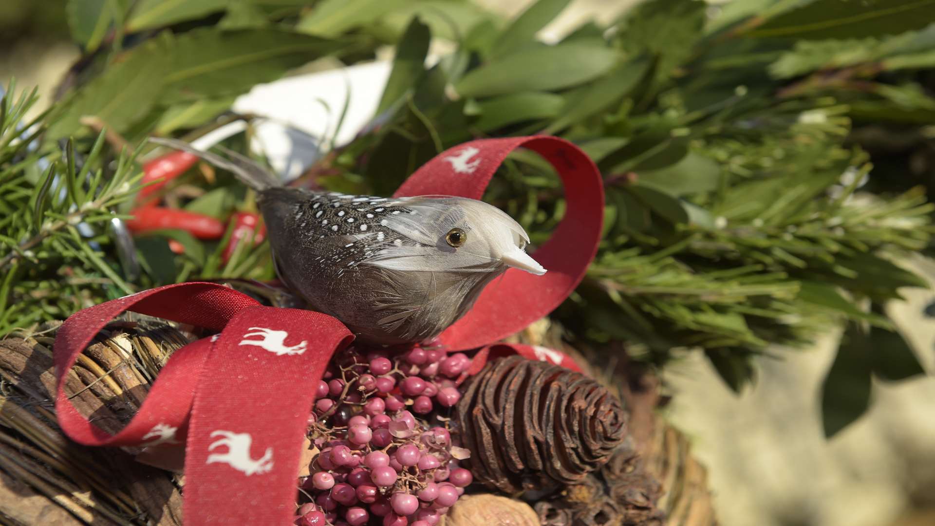 Brogdale's Christmas event this weekend has plenty of goodies to tempt you Picture: Tony Flashman