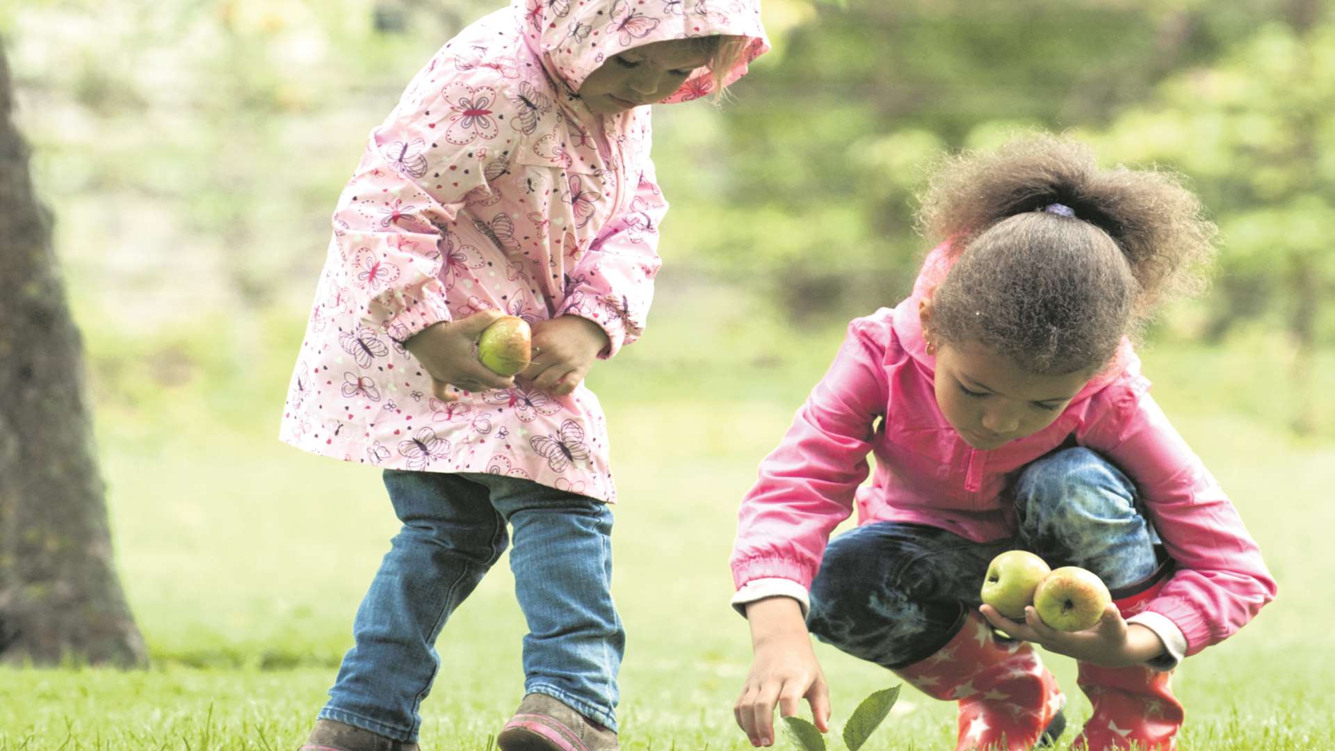 Half term at the National Trust properties