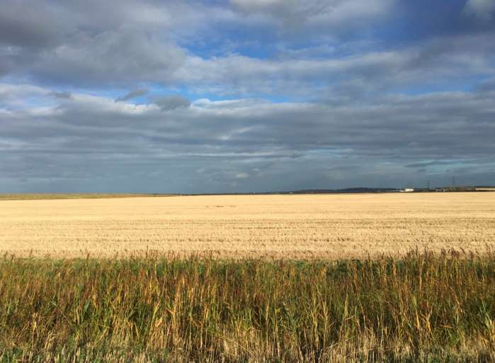 Graveney Marsh