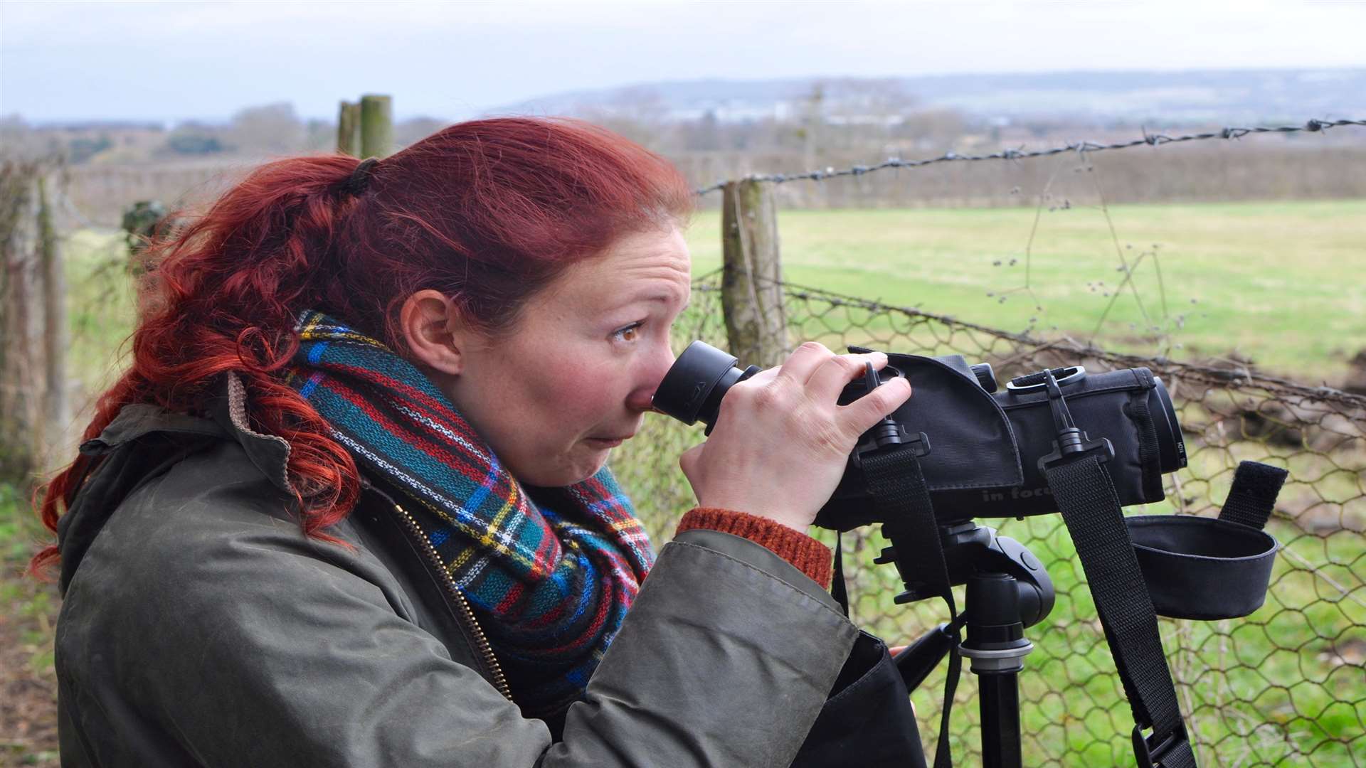 Twitchers have come from near and far to see the waxwing