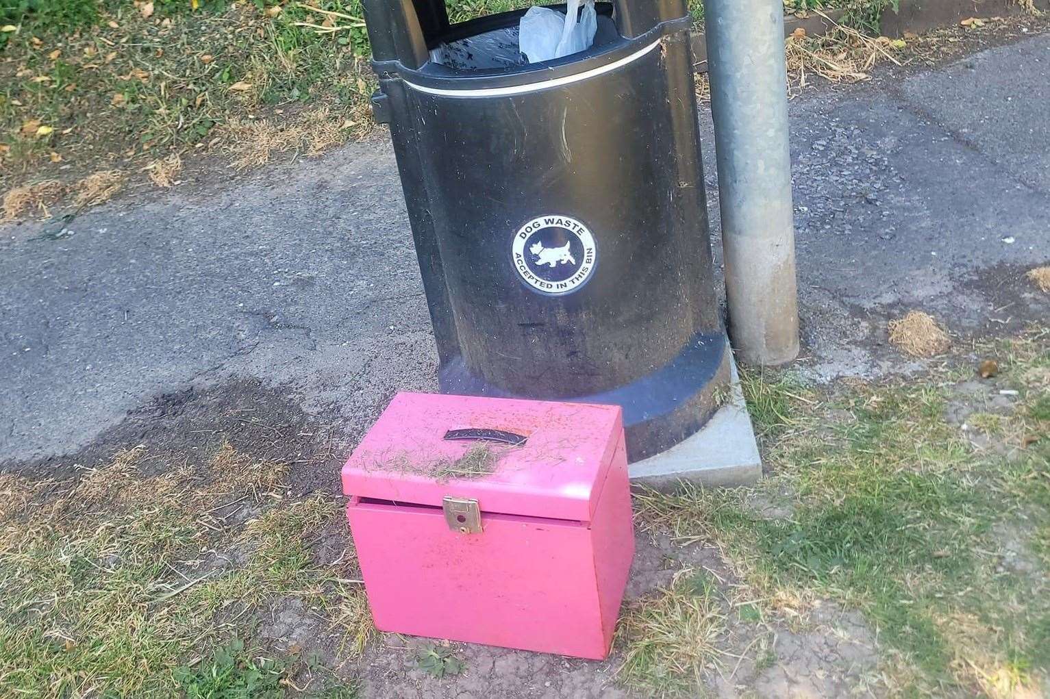 A badly decomposed rabbit was found in a pink box in Sittingbourne